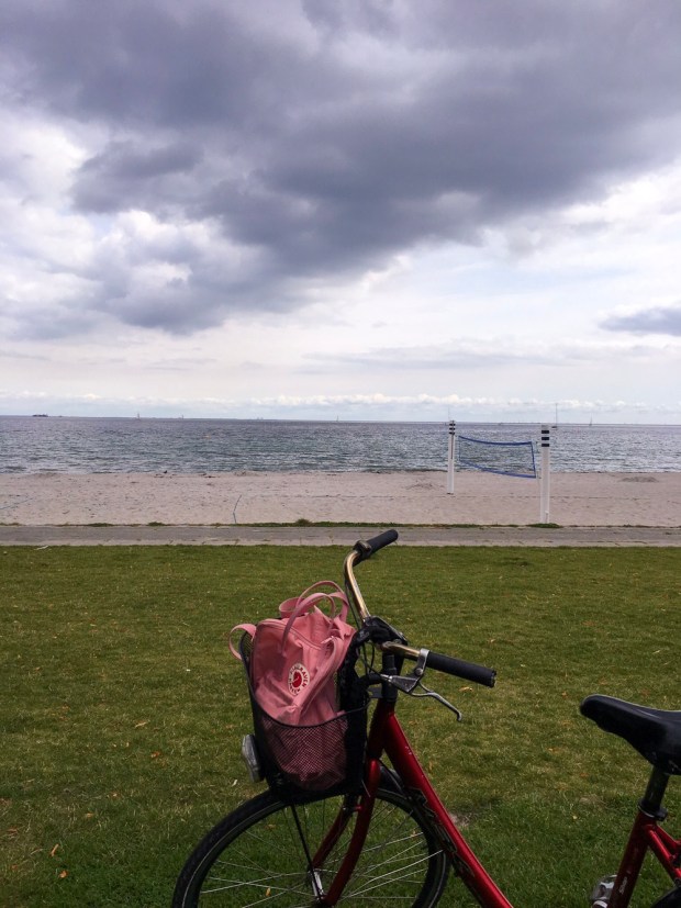 Cycling along the coast of Denmark