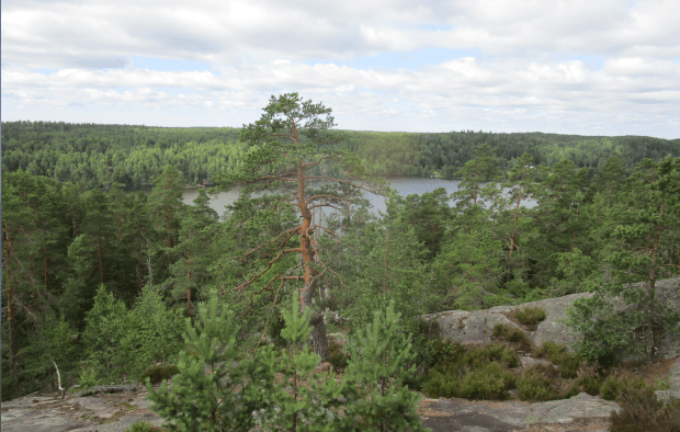 Screen Shot 2017-08-12 at 3.38.33 pm