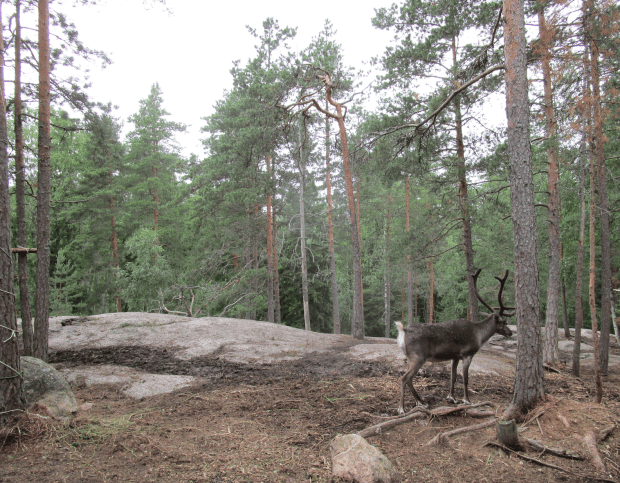 Screen Shot 2017-08-12 at 3.39.22 pm