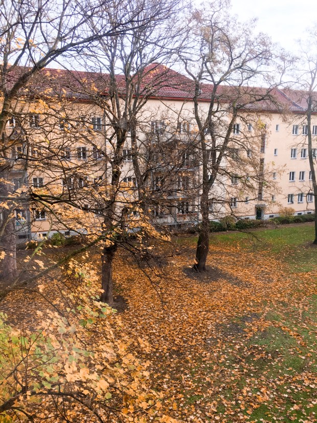 buildings in autumn in berlin