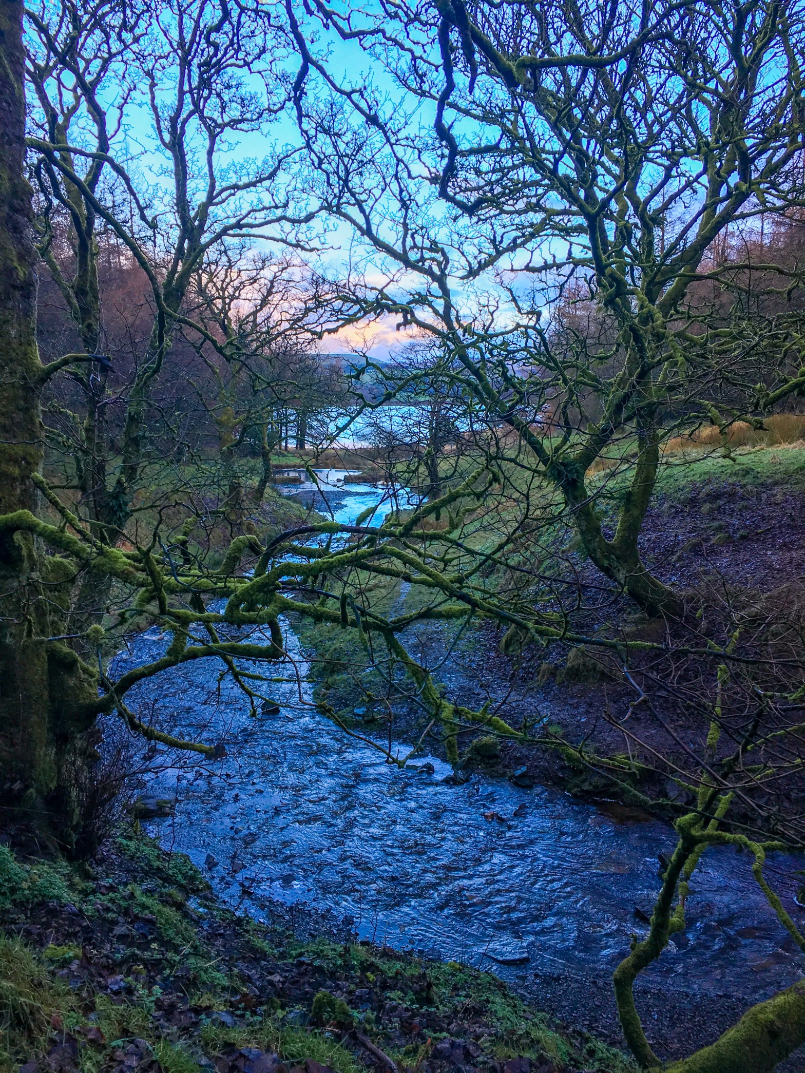 Picturesque fairy glen in Northern England