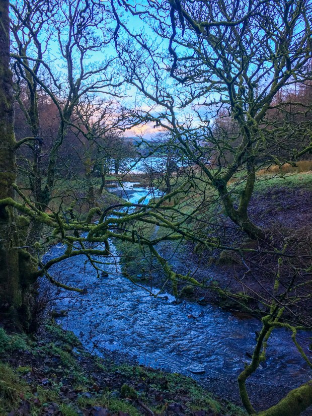 Picturesque fairy glen in Northern England